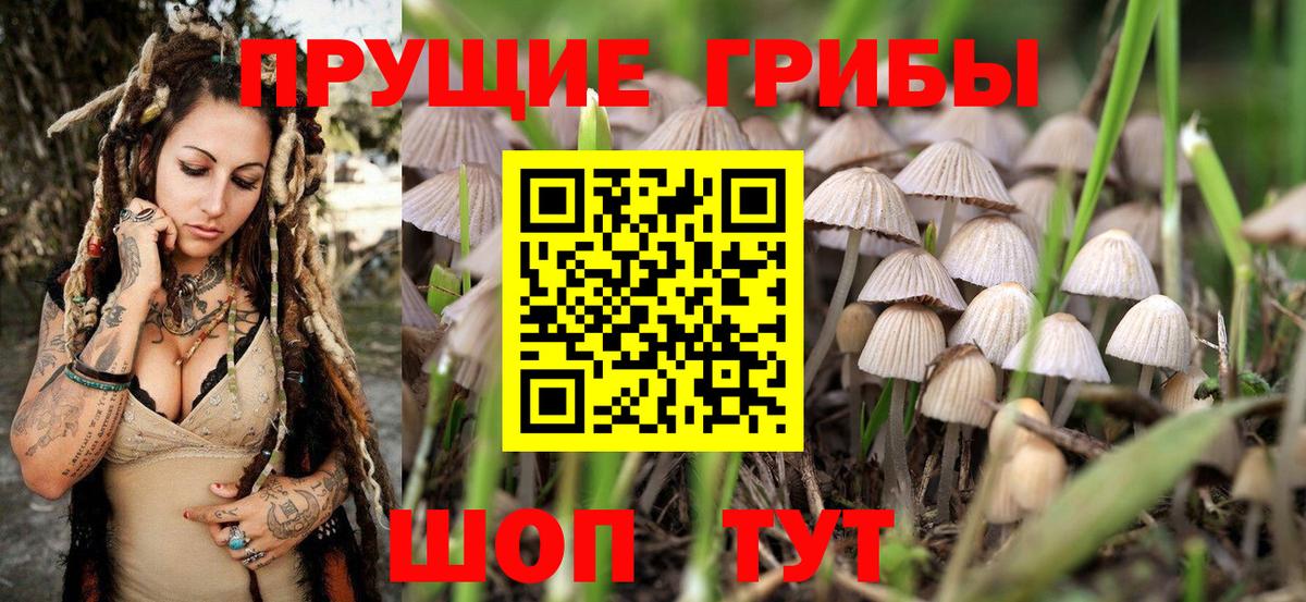 Псилоцибиновые грибы GOLDEN TEACHER Самара