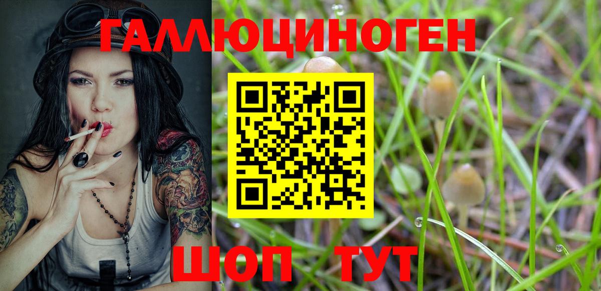 Псилоцибиновые грибы MAGIC MUSHROOMS  Вход с VPN  Самара 